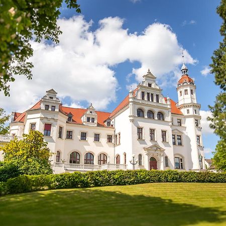 Schloss Gross Luesewitz Gross Lusewitz Buitenkant foto